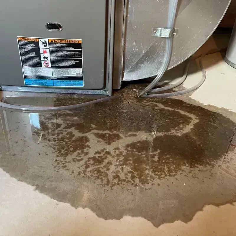 Appliance Leak Cleanup in Booneville, KY